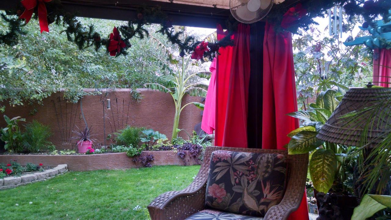 Don'S Elegante Bed & Breakfast Phoenix Kültér fotó